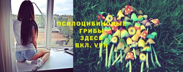 каннабис Алексеевка