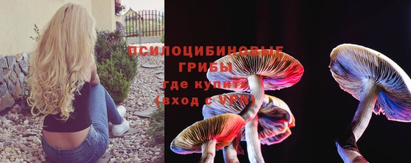 а пвп мука Абаза